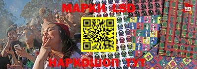 дмт Моздок